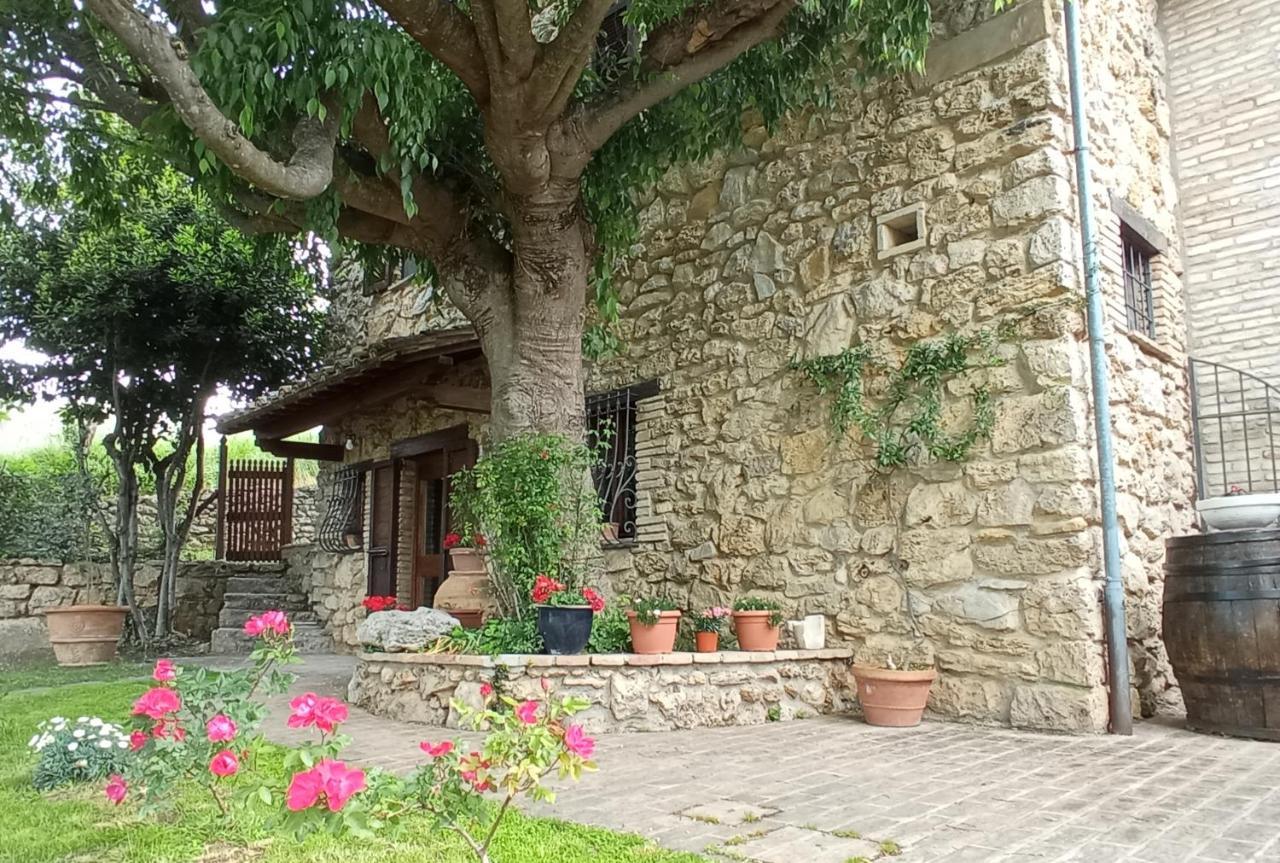 All'Ombra Di San Damiano Assis Exterior foto