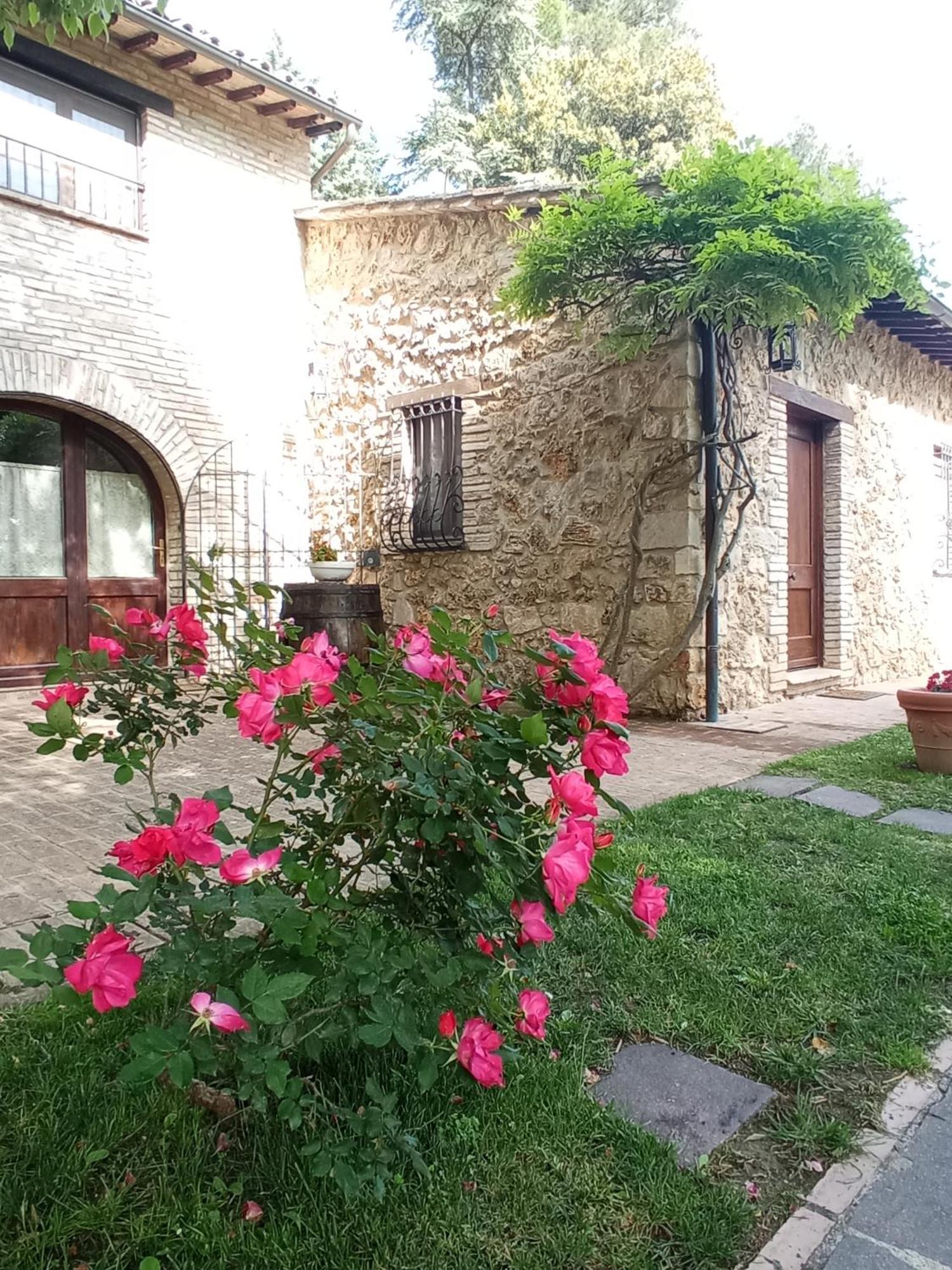 All'Ombra Di San Damiano Assis Exterior foto