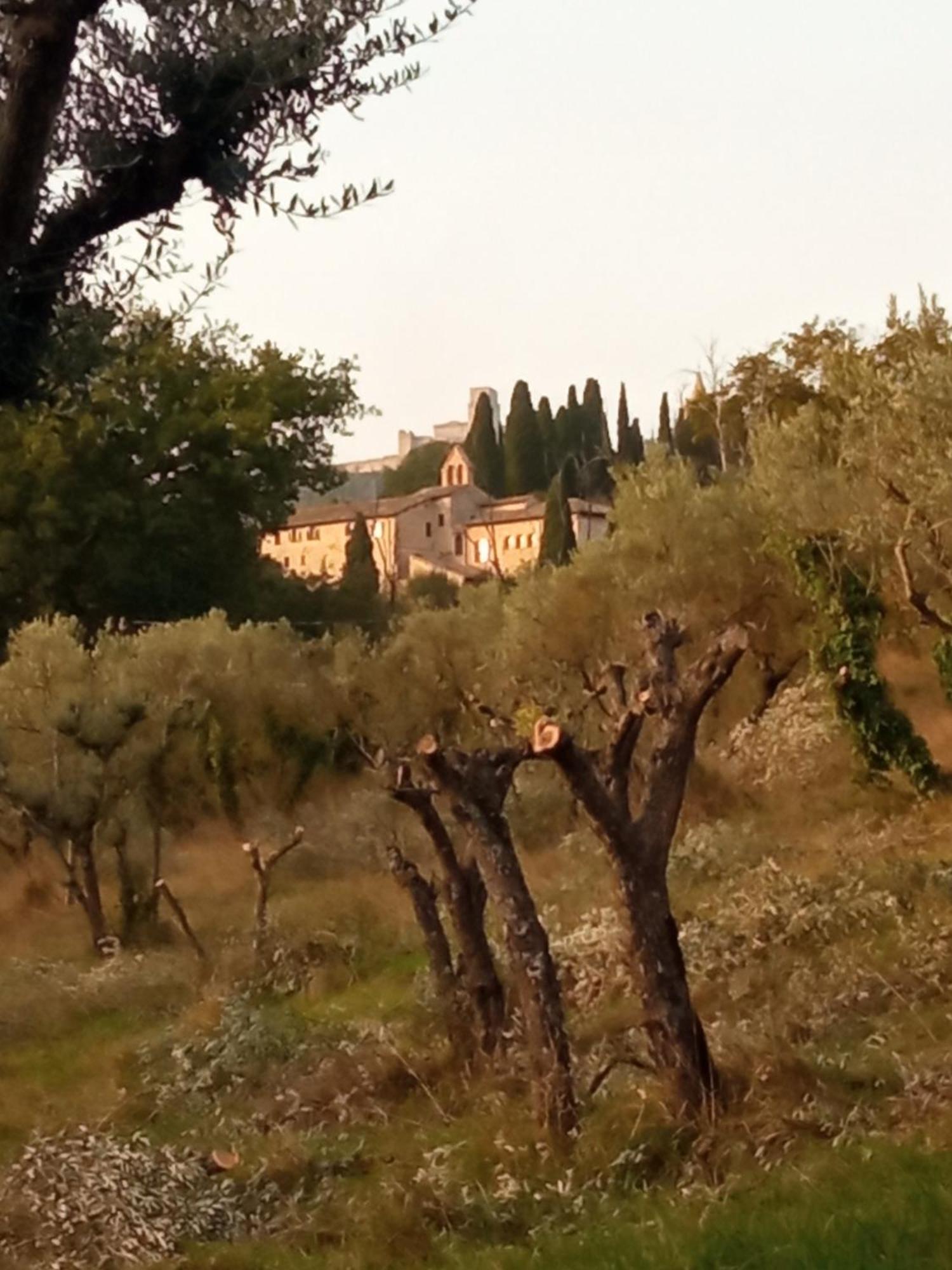 All'Ombra Di San Damiano Assis Exterior foto